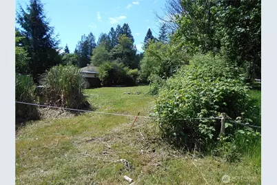 170 Kelly Road, Brinnon, WA 98320 - Photo 5