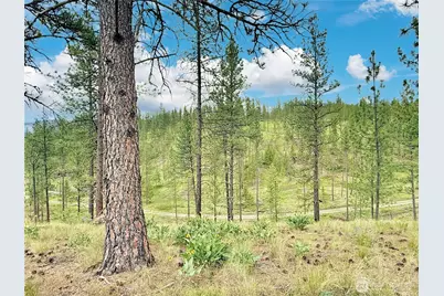 1942 Lyman Lake-Moses Meadows Road, Tonasket, WA 98855 - Photo 27