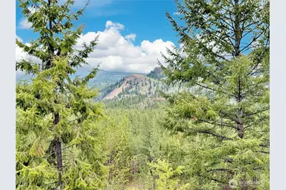 1942 Lyman Lake-Moses Meadows Road, Tonasket, WA 98855 - Photo 33