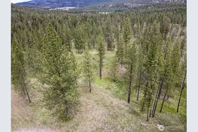 1942 Lyman Lake-Moses Meadows Road, Tonasket, WA 98855 - Photo 39