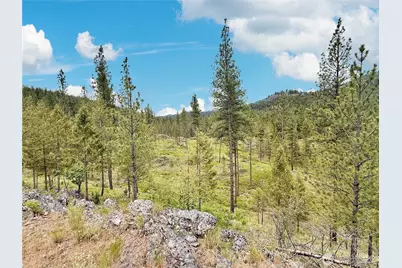 1942 Lyman Lake-Moses Meadows Road, Tonasket, WA 98855 - Photo 27