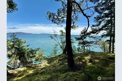 92 Flagpoint Lane, Friday Harbor, WA 98250 - Photo 31