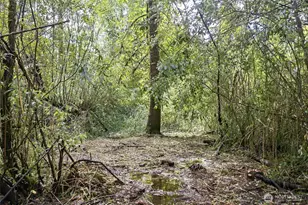 14105 288th St E, Graham, WA 98338 - Photo 35