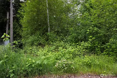 0 10th Avenue NE, Poulsbo, WA 98370 - Photo 5