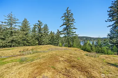 0 Woodpecker Ln, Friday Harbor, WA 98250 - Photo 9
