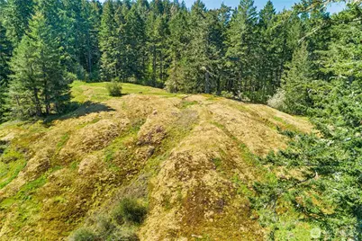 0 Woodpecker Ln, Friday Harbor, WA 98250 - Photo 23