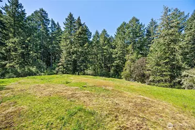 0 Woodpecker Ln, Friday Harbor, WA 98250 - Photo 13