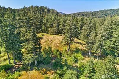 0 Woodpecker Ln, Friday Harbor, WA 98250 - Photo 17