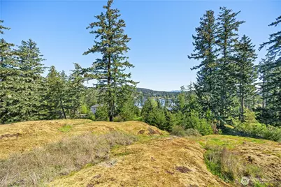 0 Woodpecker Ln, Friday Harbor, WA 98250 - Photo 11