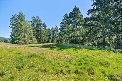 0 Woodpecker Ln, Friday Harbor, WA 98250 - Photo 7