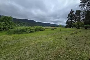 29 Sickman-Ford Rd, Oakville, WA 98568 - Photo 5