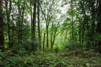 245 Xx SE 146th Street, Issaquah, WA 98027 - Photo 5