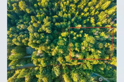 245 Xx SE 146th Street, Issaquah, WA 98027 - Photo 3