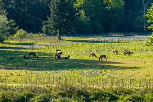 12087 US Hwy 12, Packwood, WA 98361 - Photo 11