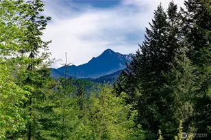 89 Slab Camp Rd, Sequim, WA 98382 - Photo 5
