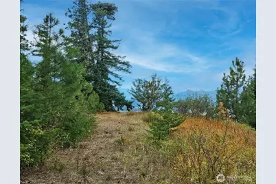 0 Lot 78 Skull Springs Road, Cle Elum, WA 98922 - Photo 11