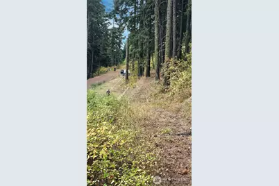 0 Lot 78 Skull Springs Road, Cle Elum, WA 98922 - Photo 5