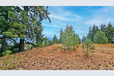 0 Lot 78 Skull Springs Road, Cle Elum, WA 98922 - Photo 7