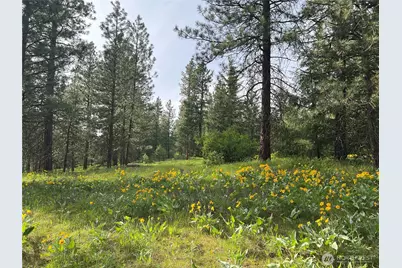 740 Sun Ridge Drive, Cle Elum, WA 98922 - Photo 3