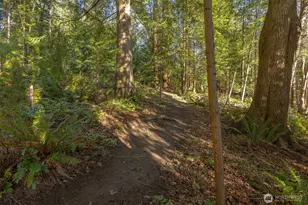 2111 Dellesta Dr, Bellingham, WA 98226 - Photo 33