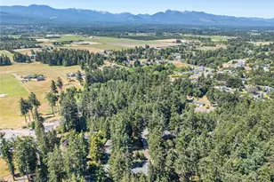 20 Josephine Pl, Sequim, WA 98382 - Photo 39