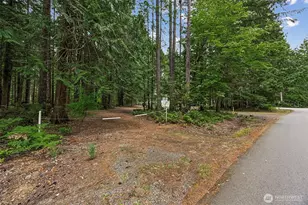 10 N Duckabush Dr W, Hoodsport, WA 98548 - Photo 31