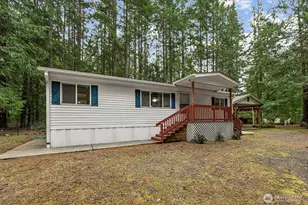10 N Duckabush Dr W, Hoodsport, WA 98548 - Photo 1