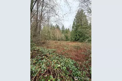0 Xxxx 238th Avenue NE, Redmond, WA 98053 - Photo 5