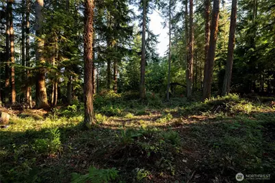 0 Ships Havens Drive, Freeland, WA 98249 - Photo 5