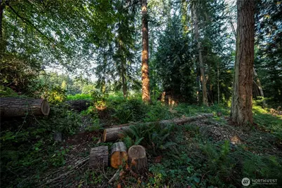 0 Ships Havens Drive, Freeland, WA 98249 - Photo 3