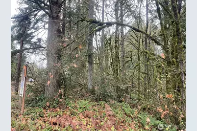 0 Wa 505, Toledo, WA 98591 - Photo 3