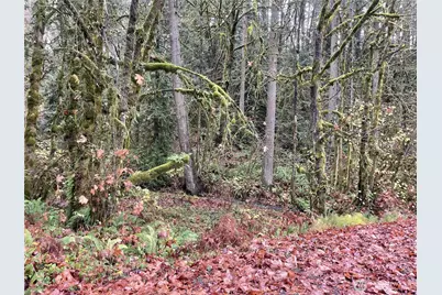 0 Wa 505, Toledo, WA 98591 - Photo 1