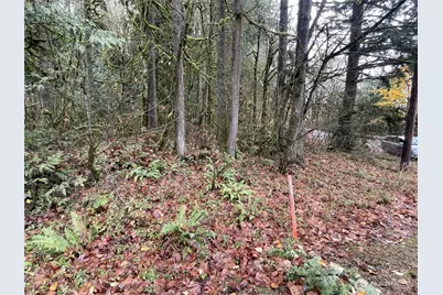 0 Wa 505, Toledo, WA 98591 - Photo 5