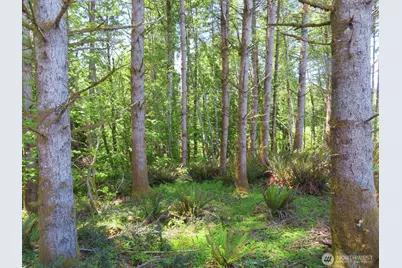 0 Xxx Hockett Road, Onalaska, WA 98570 - Photo 5