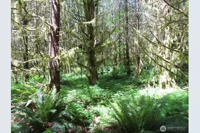 0 Xxx Hockett Road, Onalaska, WA 98570 - Photo 21