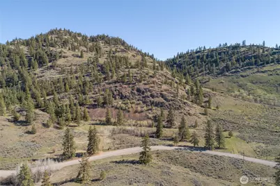1 Lot Whiskey Mountain Ranches, Tonasket, WA 98855 - Photo 17