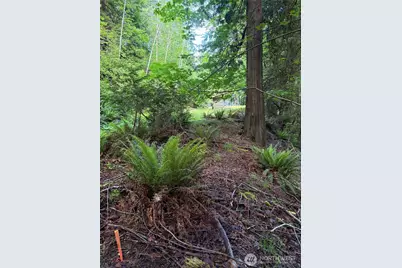 0 Tskutsko Point Road, Quilcene, WA 98376 - Photo 23