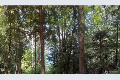 0 Tskutsko Point Road, Quilcene, WA 98376 - Photo 25