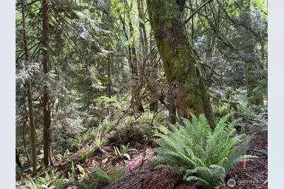 0 Tskutsko Point Road, Quilcene, WA 98376 - Photo 33