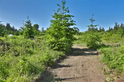 2062 Goodell Road, Freeland, WA 98249 - Photo 21