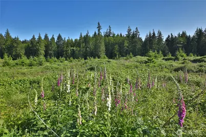2062 Goodell Road, Freeland, WA 98249 - Photo 1