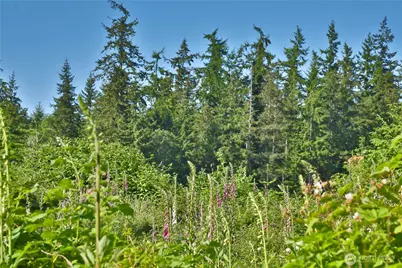 2062 Goodell Road, Freeland, WA 98249 - Photo 23