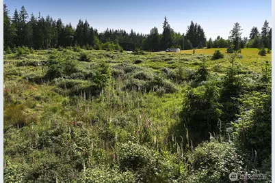 2062 Goodell Road, Freeland, WA 98249 - Photo 37
