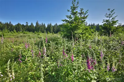 2062 Goodell Road, Freeland, WA 98249 - Photo 13