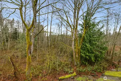 18930 Bothell-Everett Highway #T-101, Bothell, WA 98012 - Photo 3