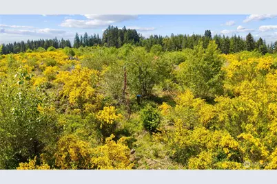 0 Charbonneau Lane SE, Yelm, WA 98597 - Photo 19