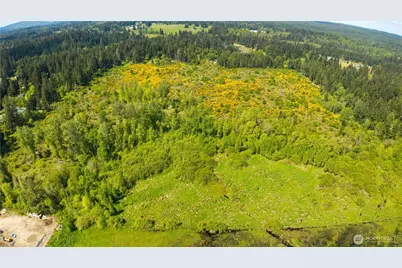 0 Charbonneau Lane SE, Yelm, WA 98597 - Photo 11