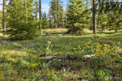 53 Wanawish Loop, Cle Elum, WA 98922 - Photo 25