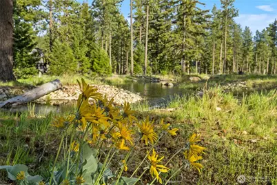 53 Wanawish Loop, Cle Elum, WA 98922 - Photo 33
