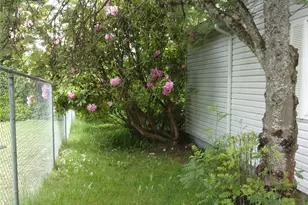 9404 A St, Tacoma, WA 98444 - Photo 35